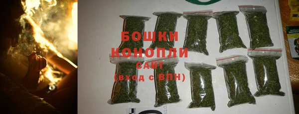 молекула духа Нязепетровск