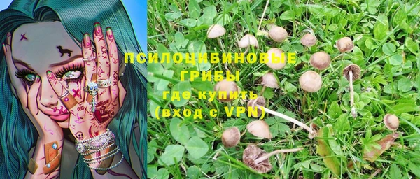 молекула духа Нязепетровск