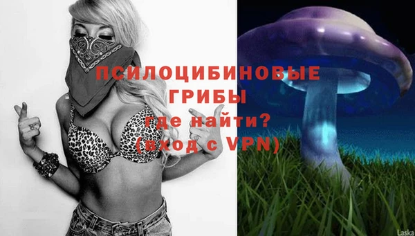 молекула духа Нязепетровск