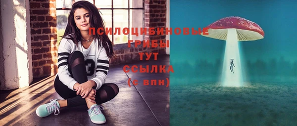 винт Няндома