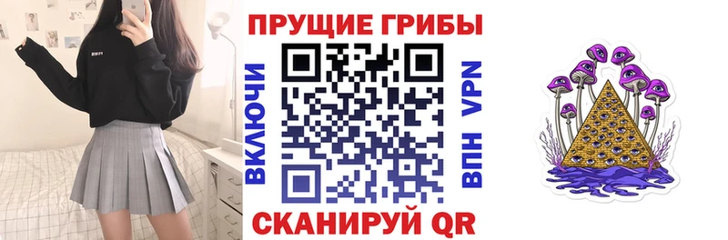 Псилоцибиновые грибы мицелий  omg зеркало  Томилино  закладка 